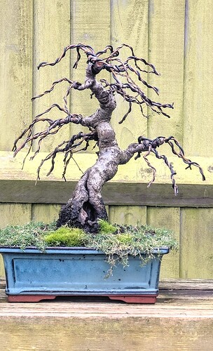 PXL_20250114_123556158~2