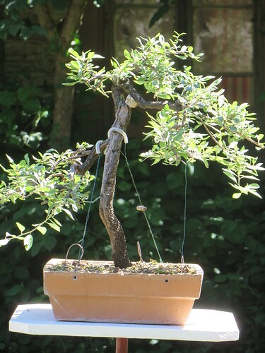 post-41267-0-79844400-1657195476