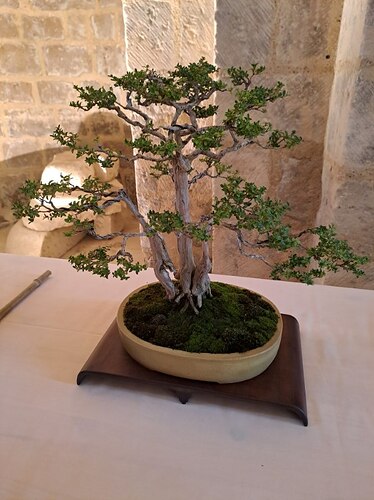 image0000031