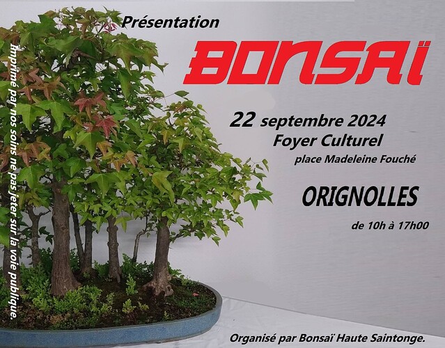 affiche bonsaï Orignolles 2024
