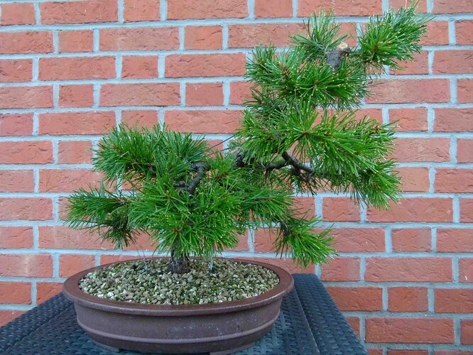 P1160004
