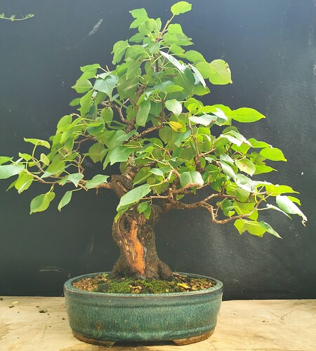 2023-08-21-16-38-36-794