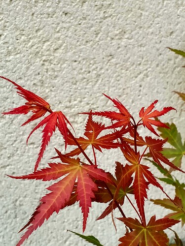 IMG20240818180057