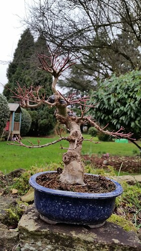 a0b60fc2-7564-45c9-8b4c-283569a6cc81-1_all_51871