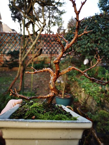 IMG_20230206_152415_resized_20231108_105311847