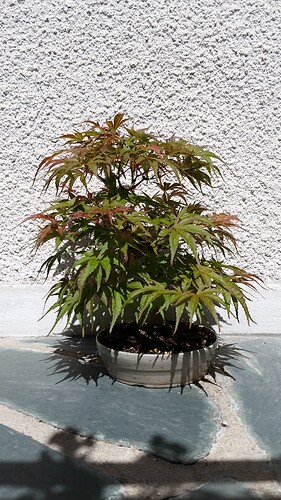 a0b60fc2-7564-45c9-8b4c-283569a6cc81-1_all_51168