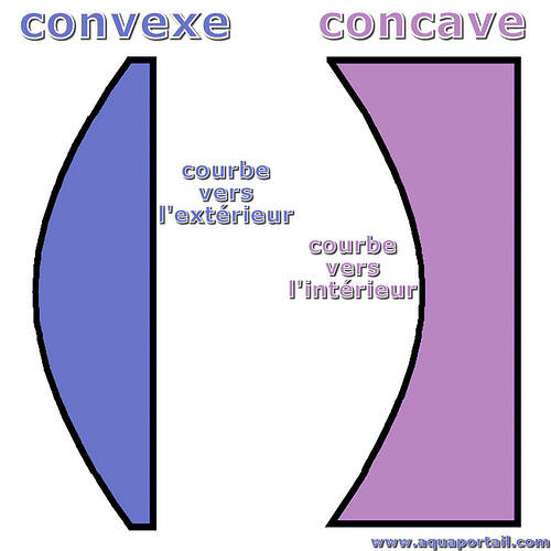 convexe-concave
