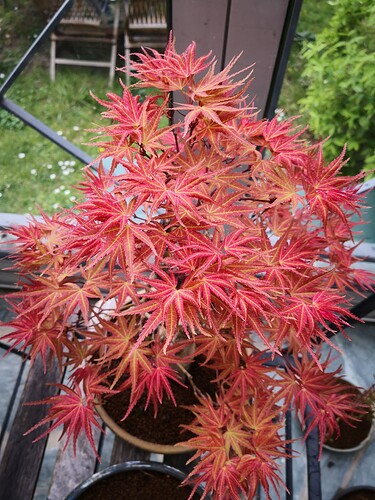 a0b60fc2-7564-45c9-8b4c-283569a6cc81-1_all_36403