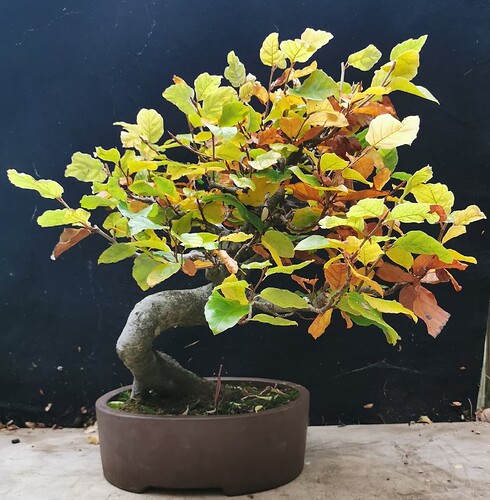 2024-11-03-16-37-05-353