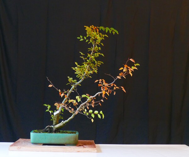 P1190351
