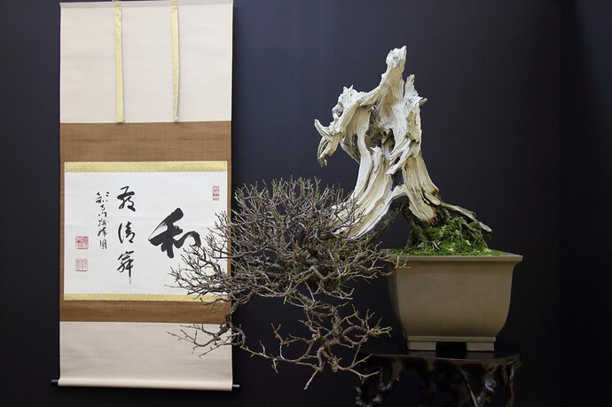 469599158_8650143168431197_7793248711762839041_n