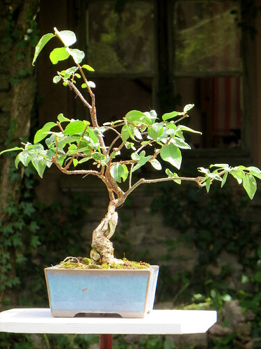 IMG_6373.JPG