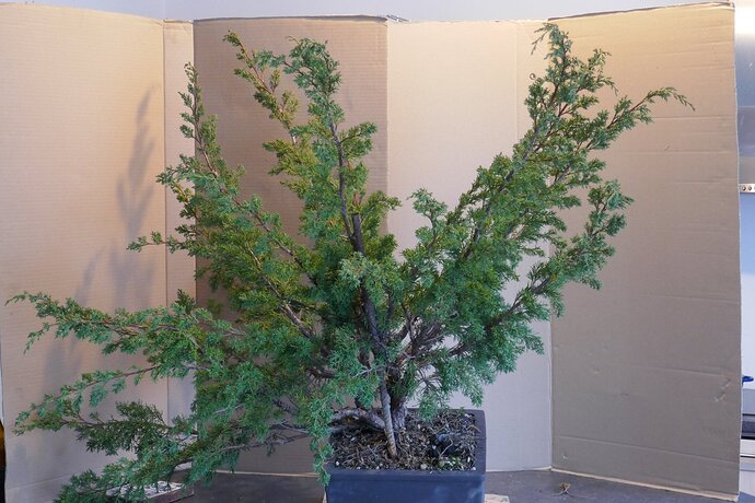 55600762_2811117918915397_4918961838642692096_n