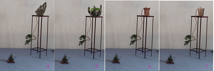 d500b4cd02305743638a6a49c6b97c8df73de1b4