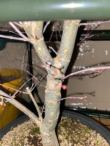 DA44DC2F-1E23-4C13-BC3E-D849A7CEDD9A