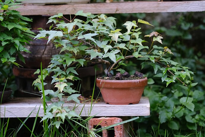 1699436804639_DSCF1865