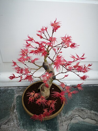 a0b60fc2-7564-45c9-8b4c-283569a6cc81-1_all_36480