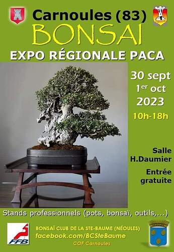 FB_IMG_1690474168634