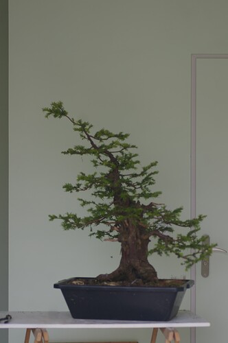 IMGP2361