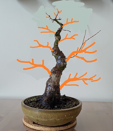 ___________DSCN40virt2