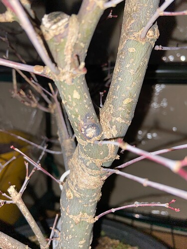 7C43F6D3-71A6-481C-B97C-6751D19B592E