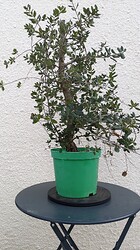 PXL_20231017_123500280