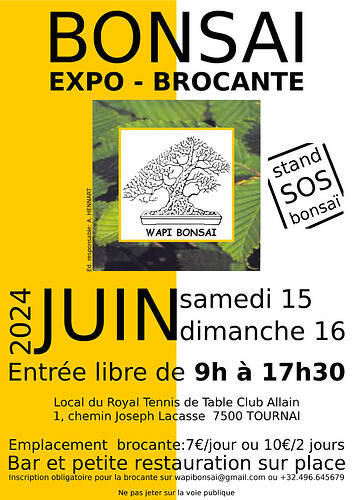 Affiche 2024 s