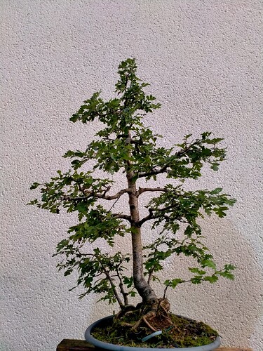 IMG20240605214830