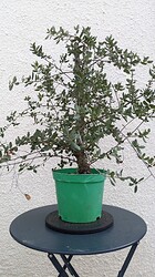 PXL_20231017_123431399