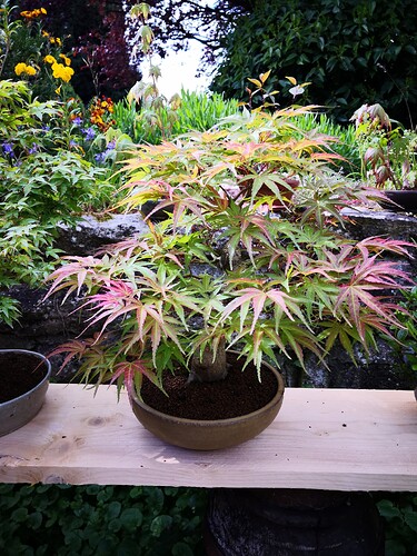 a0b60fc2-7564-45c9-8b4c-283569a6cc81-1_all_36032