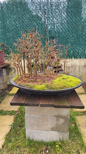 20250128_092614_resized