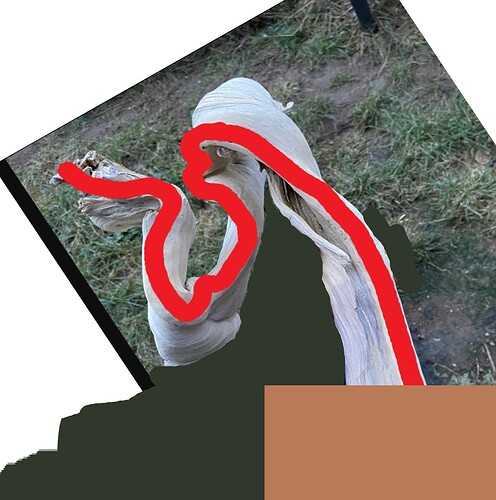 ___________DSCN61