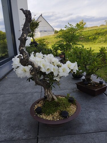 image000002