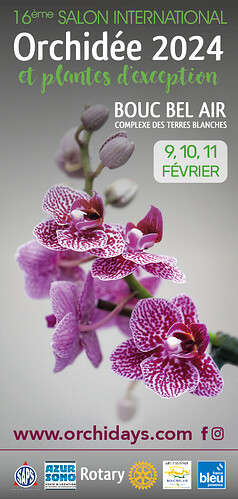 Flyer Orchidée - 2024 OK