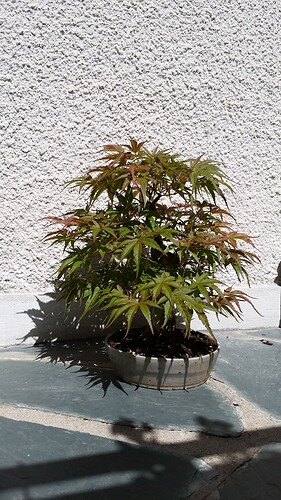 a0b60fc2-7564-45c9-8b4c-283569a6cc81-1_all_51167