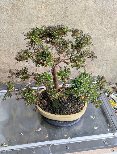 PXL_20250110_152644851~2