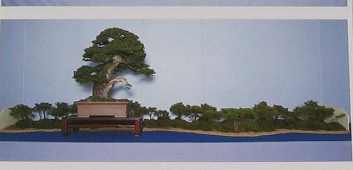 picea ezo3
