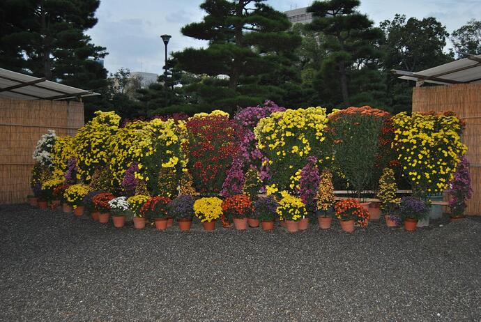 DSC_0382.JPG