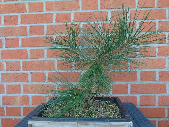 P1160046