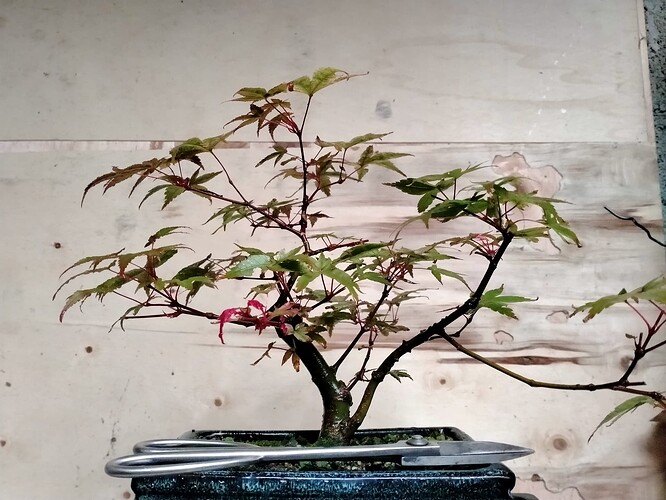 IMG20240908114723