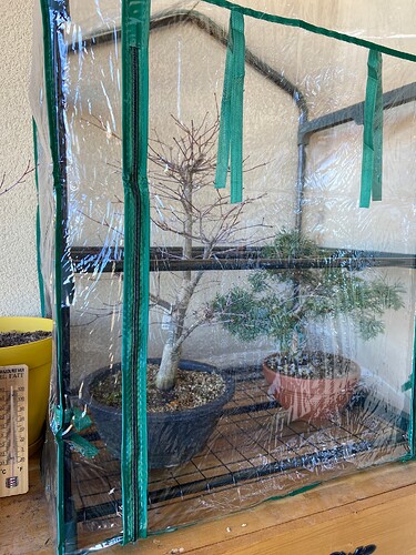 photo_3 (3)