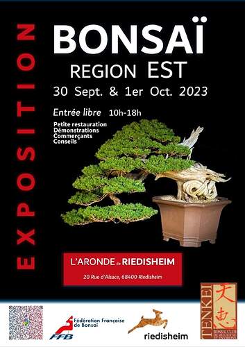 facebook_1692529563319_7098983517549312112