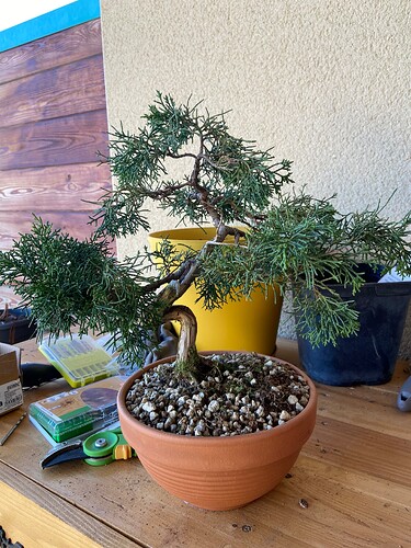 photo_2 (2)