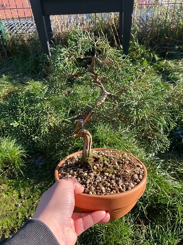 photo_1 (5)