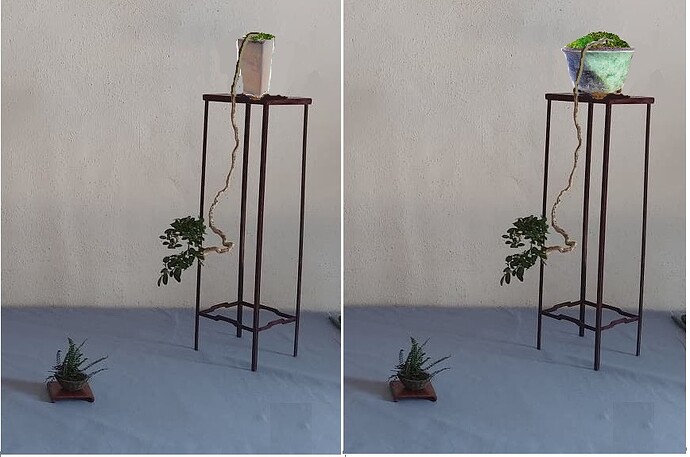 d500b4cd02305743638a6a49c6b97c8df73de1b4