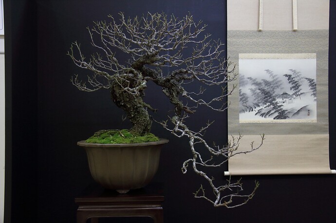 469662201_8650107641768083_7427603043876117443_n