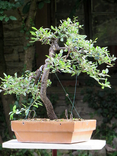 post-41267-0-56624400-1657195584