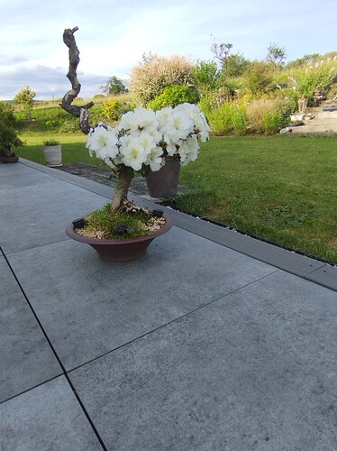image000000