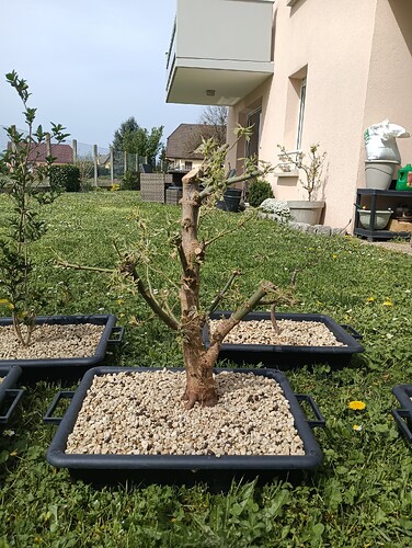 IMG_20240407_124714_623