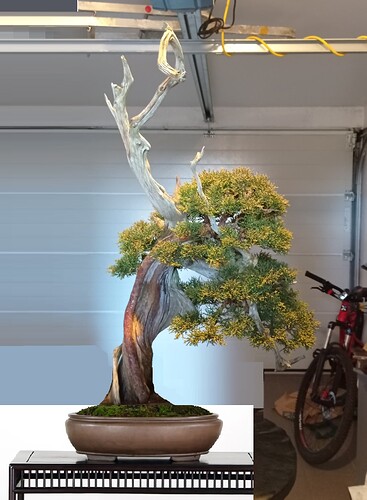 ___________DSCN25virt1